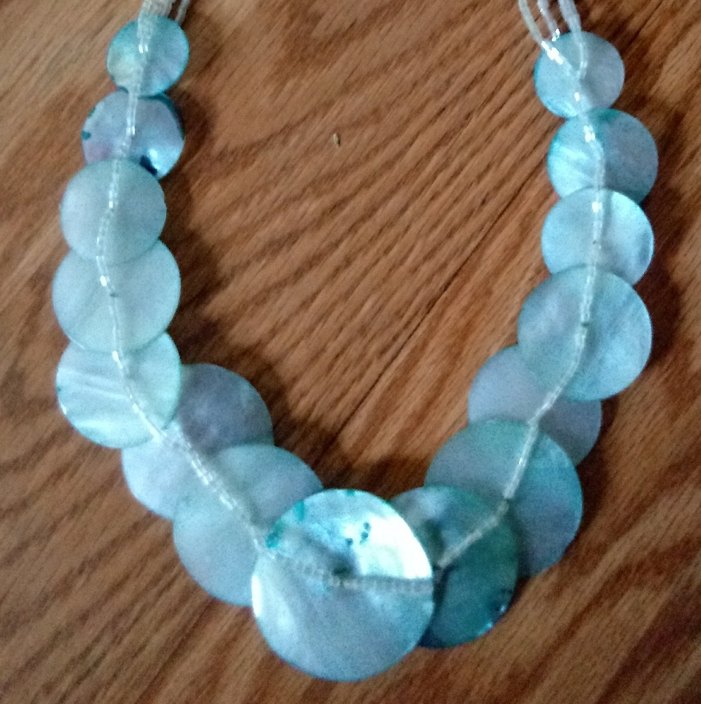 Teal dyed shell necklace